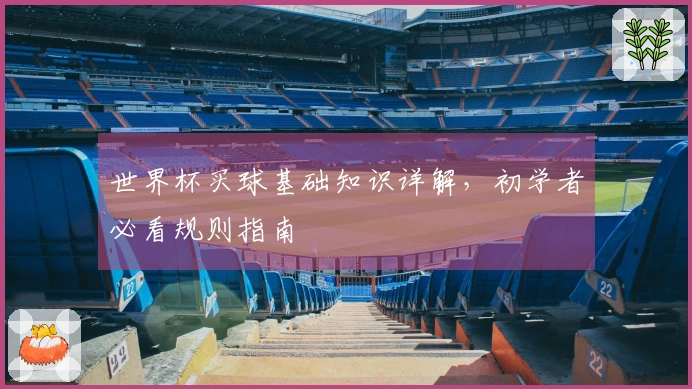 世界杯买球基础知识详解，初学者必看规则指南