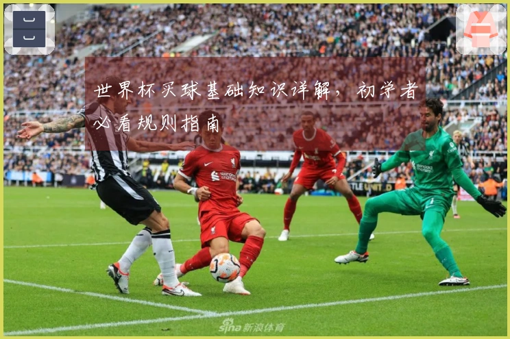 世界杯买球基础知识详解，初学者必看规则指南