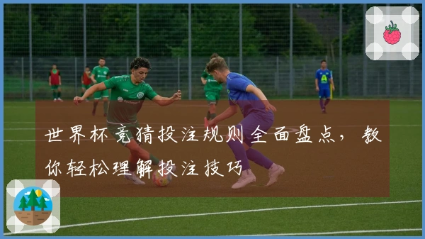 世界杯竞猜投注规则全面盘点，教你轻松理解投注技巧