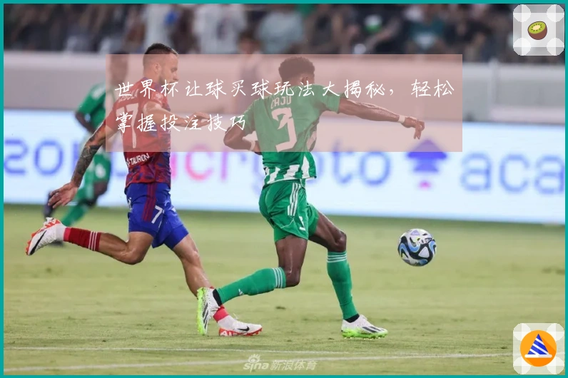 世界杯让球买球玩法大揭秘，轻松掌握投注技巧