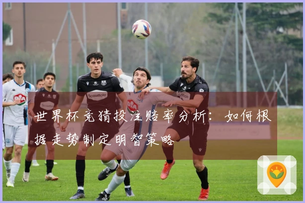 世界杯竞猜投注赔率分析：如何根据走势制定明智策略