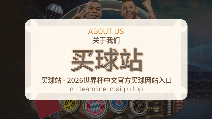 关于 买球站 团队与服务